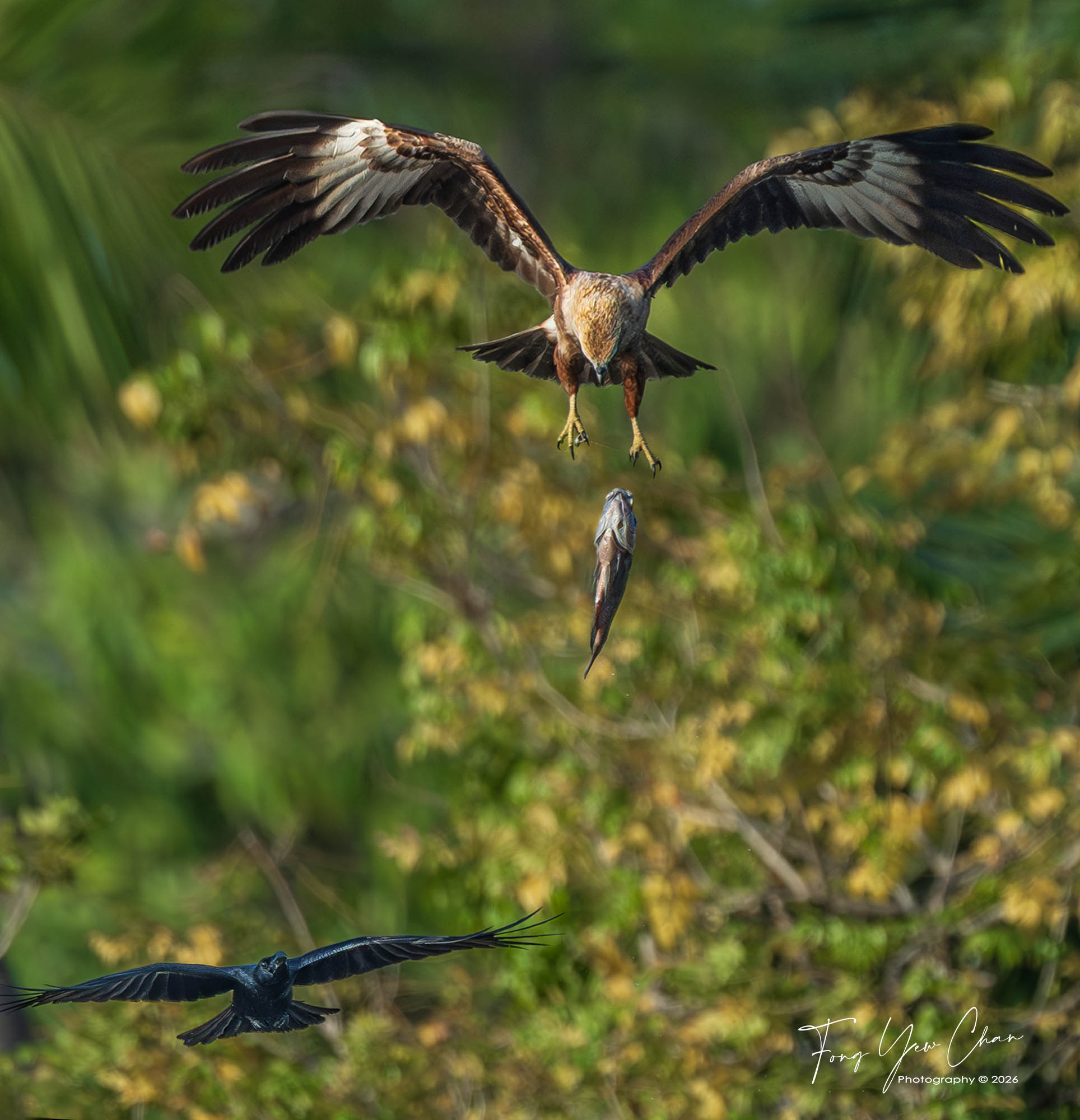 Krabi Overseas Workshop, Jan 2026